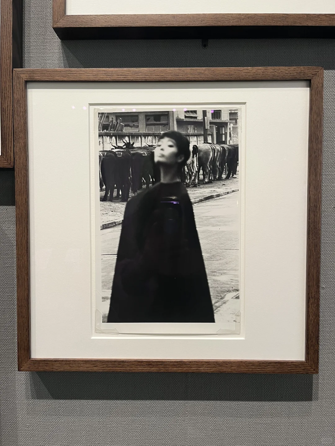 东京不上班|六本木看图像设计展