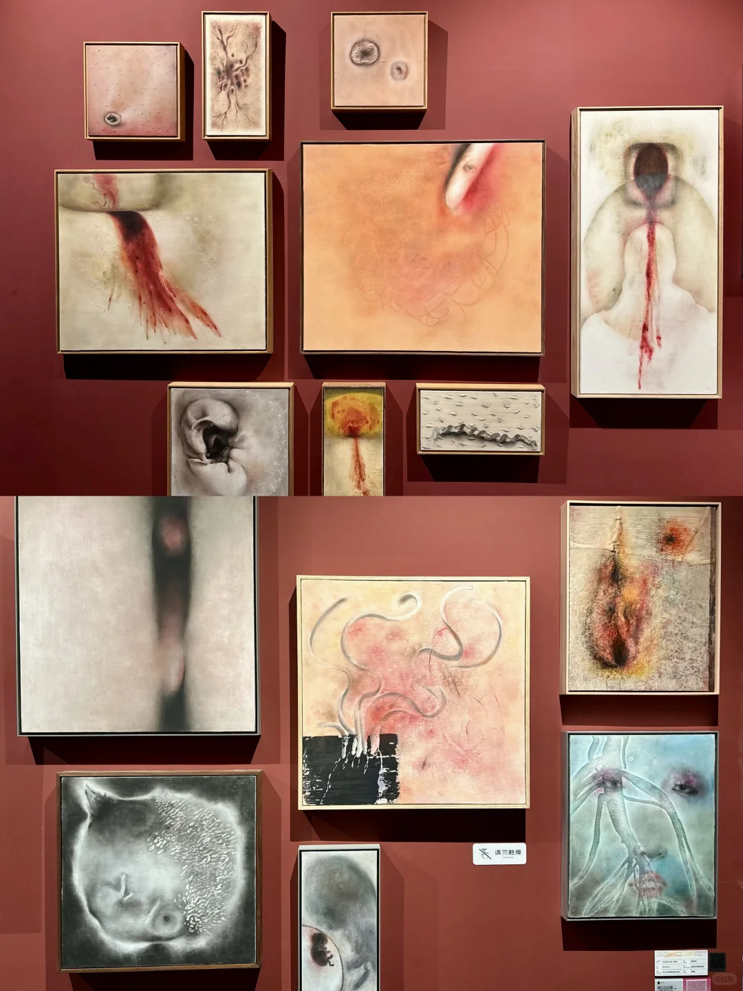 25年央美毕业展?开展了❗️看展攻略速码住!