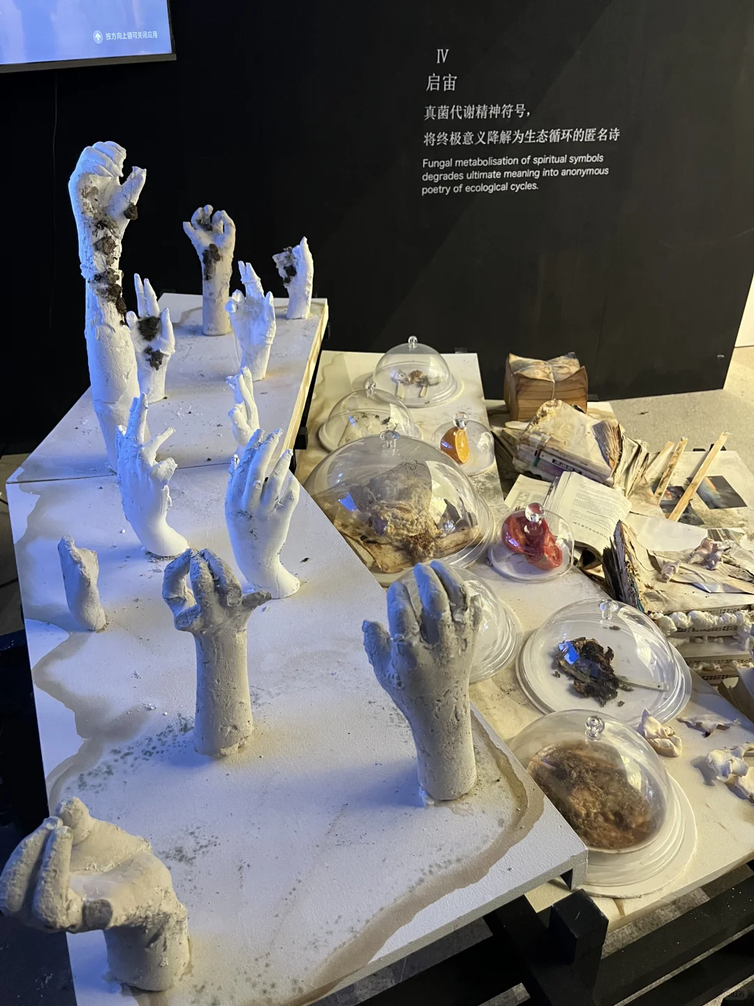 央美毕业设计展之【基本功】
