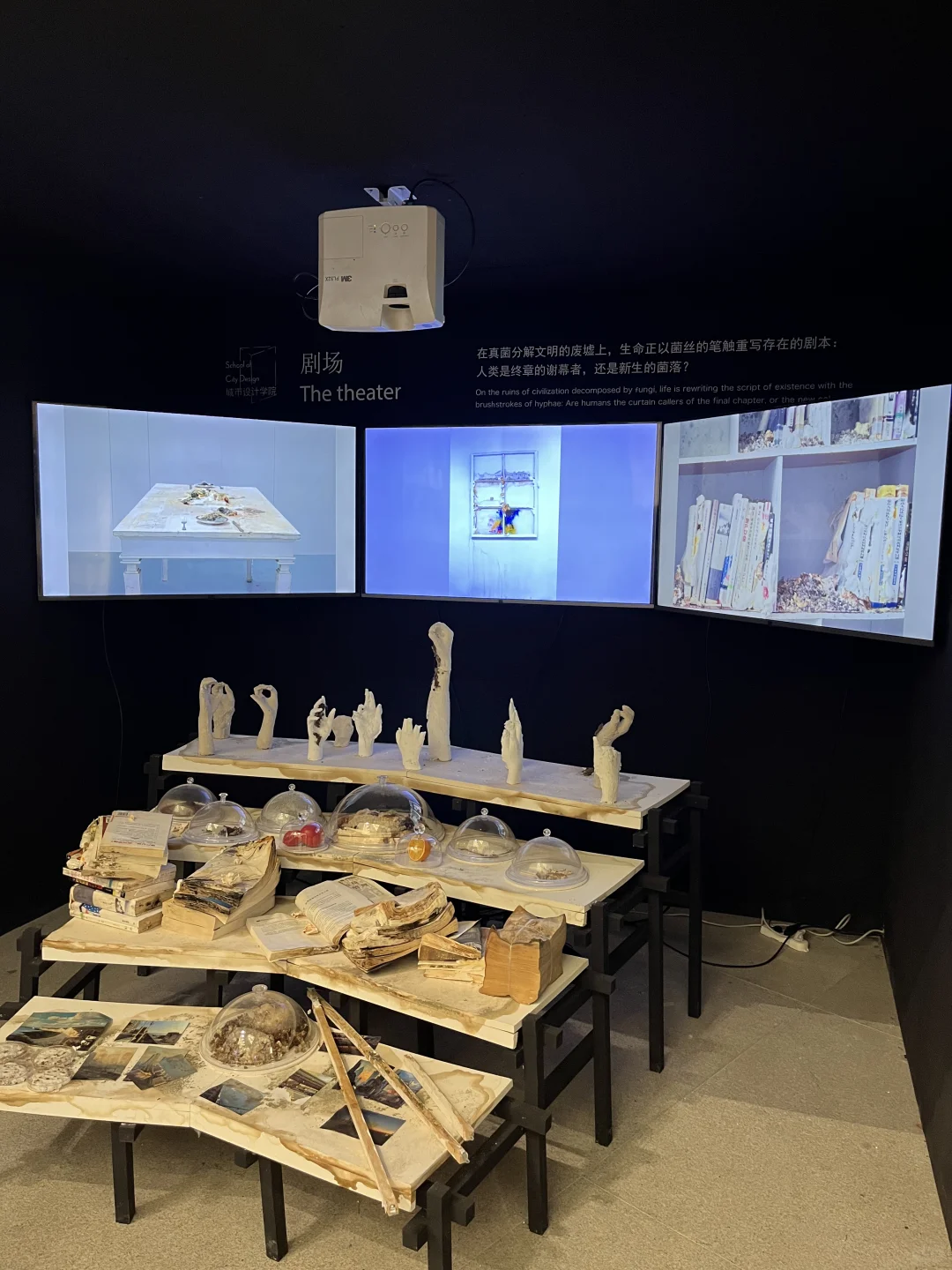 央美毕业设计展之【基本功】