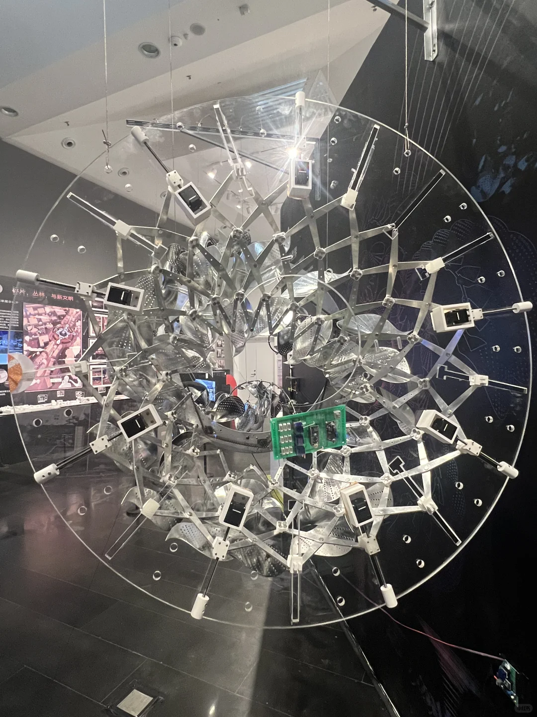 清华工业设计系2025年毕业设计展