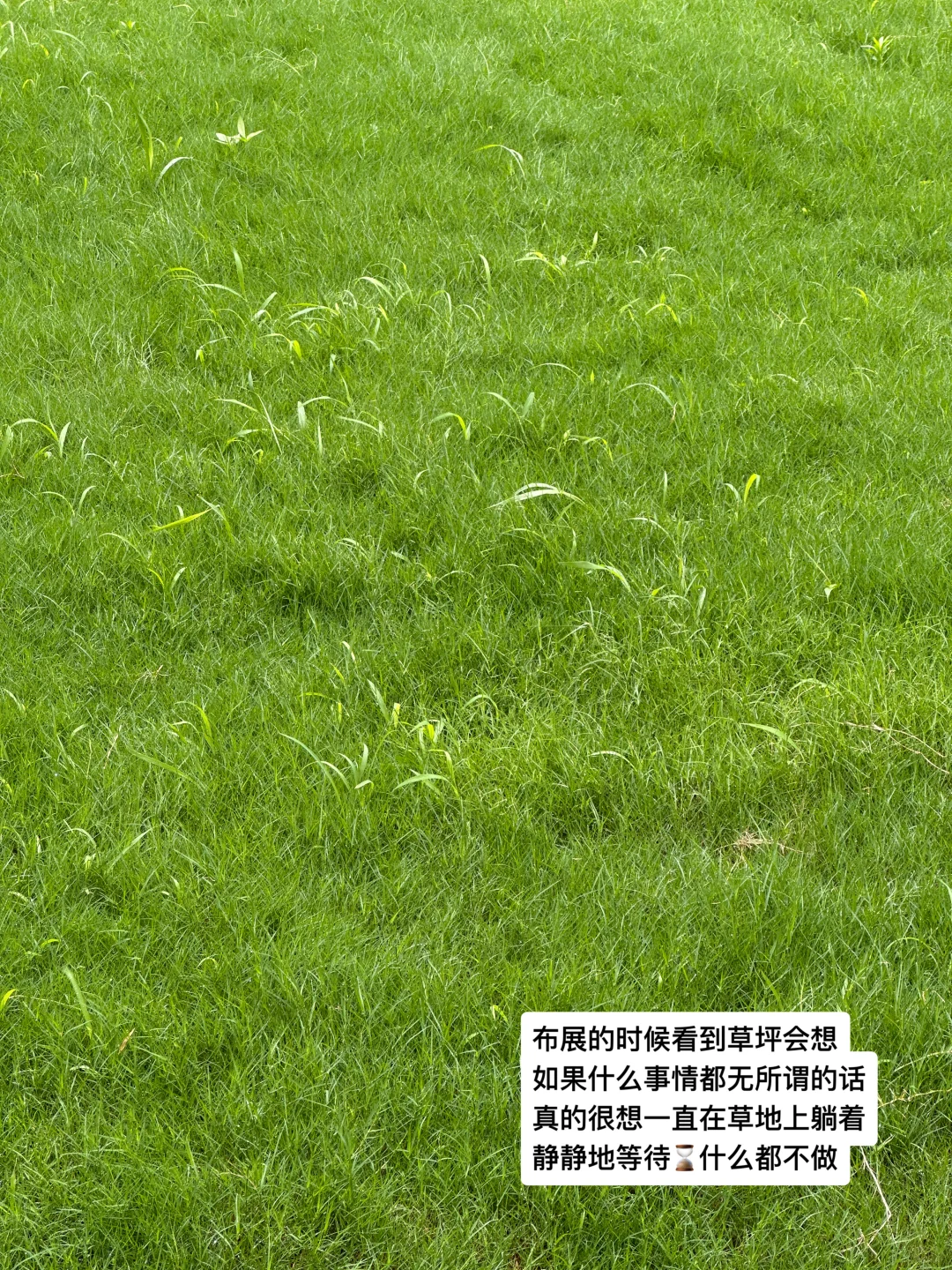 Plog?外贸展会??新人避坑指南/经验分享