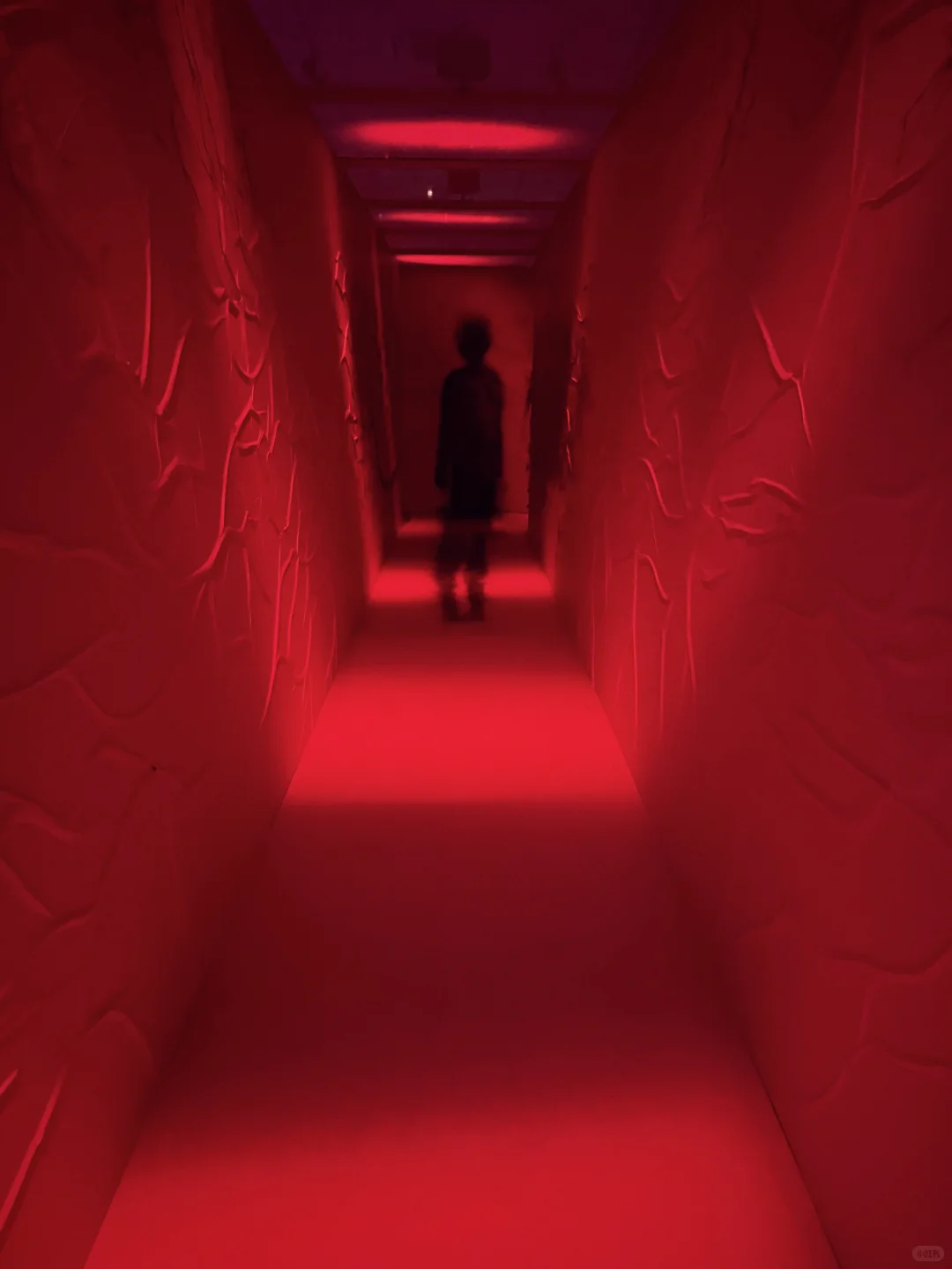 1999末日展首日体验❗️确实恐怖❗️