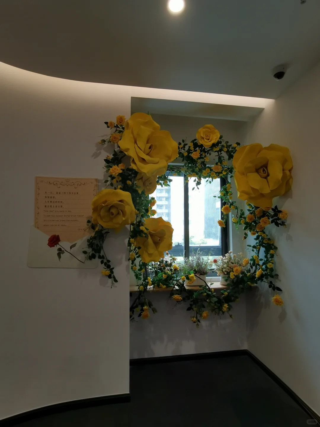 深圳·潮流艺术展