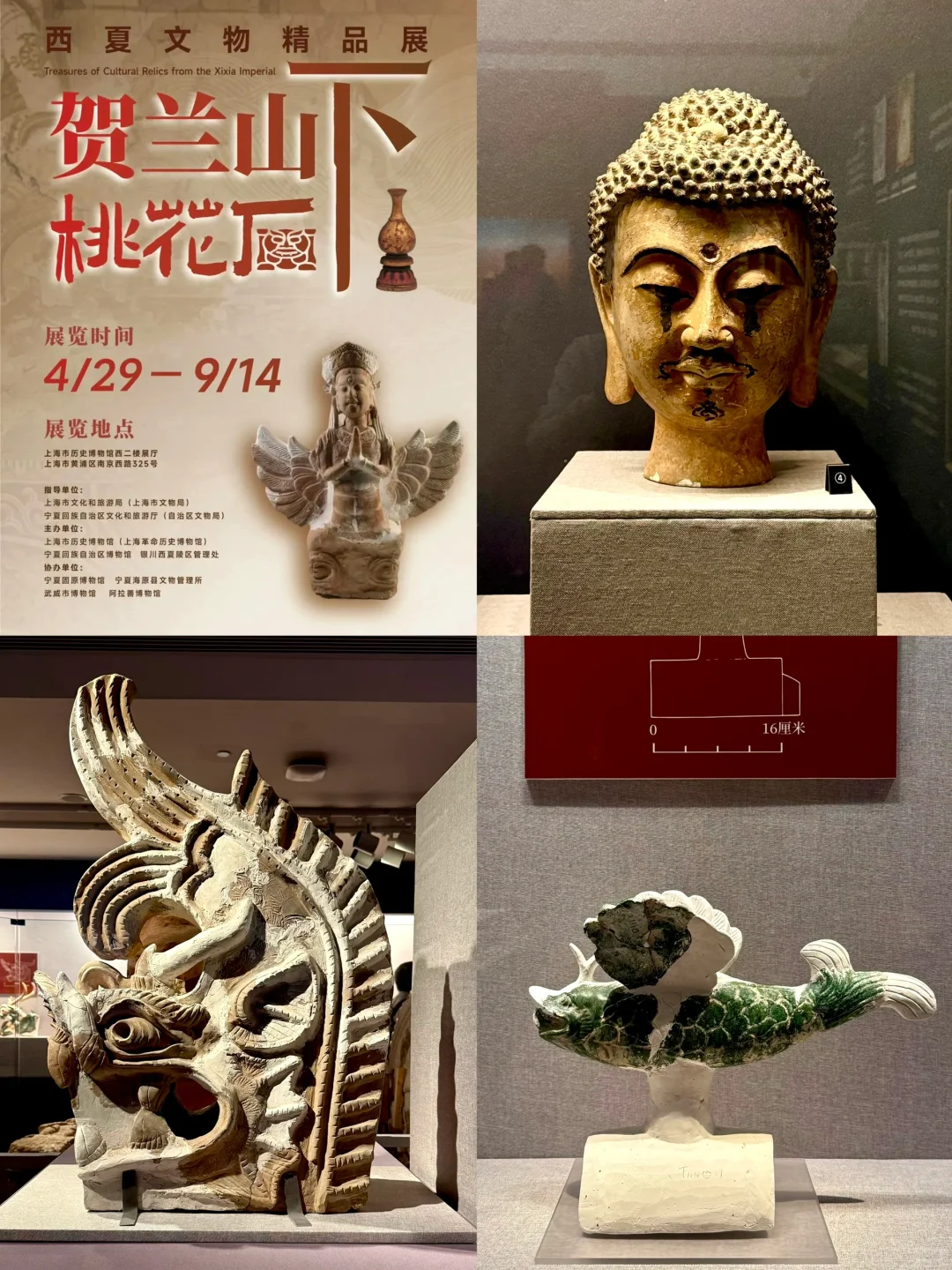 暑假新展扎堆!上海7-8?️博物馆看展指南