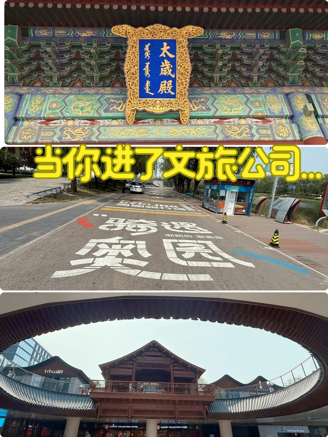 转行文旅行业吗？神仙工作吗？