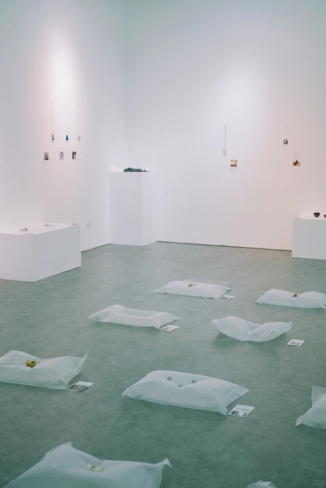 VONNO第二届当代首饰展“亲密关系”上海展