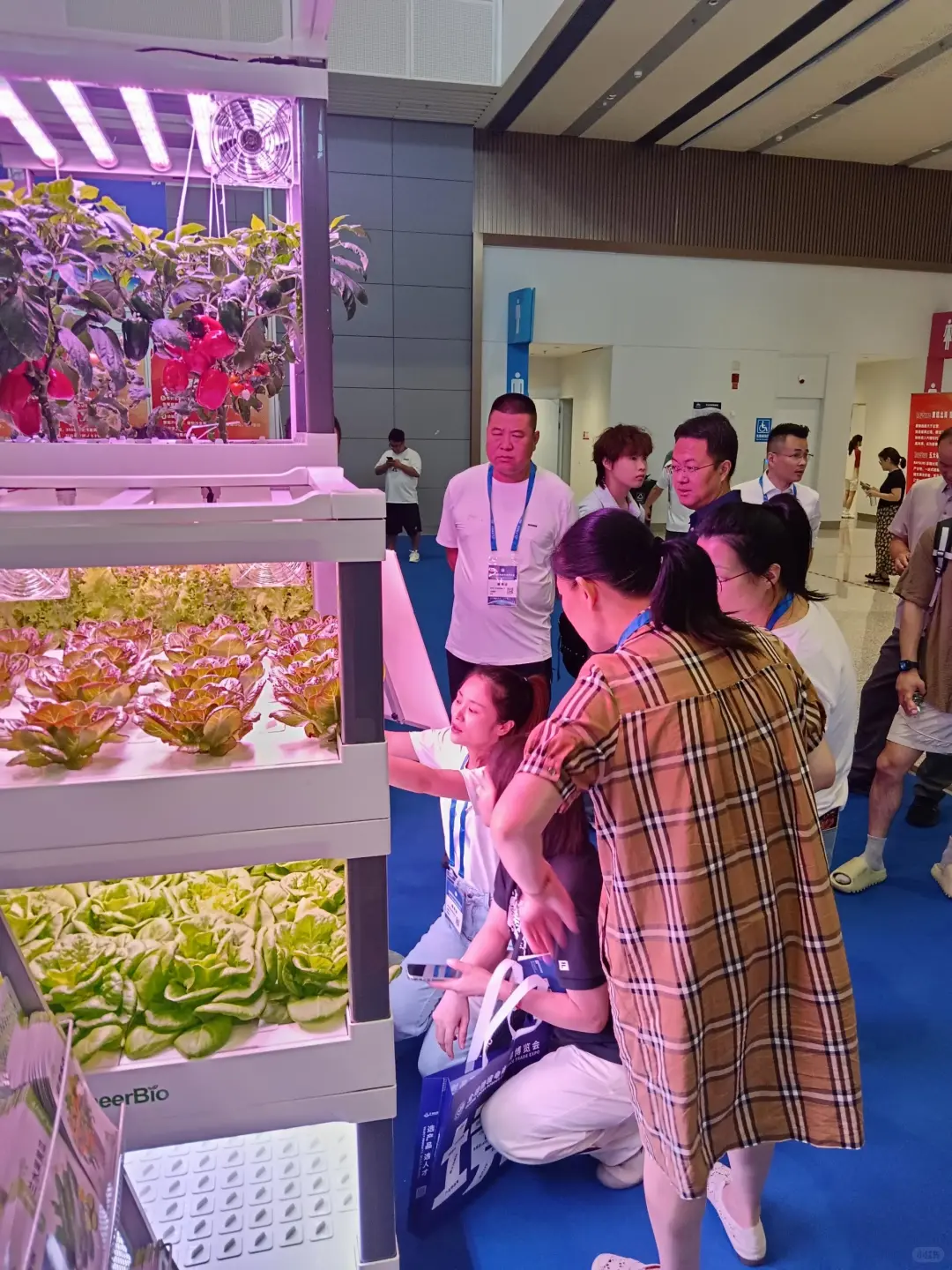 ? 杭州跨境展爆了！爱培水培种菜机