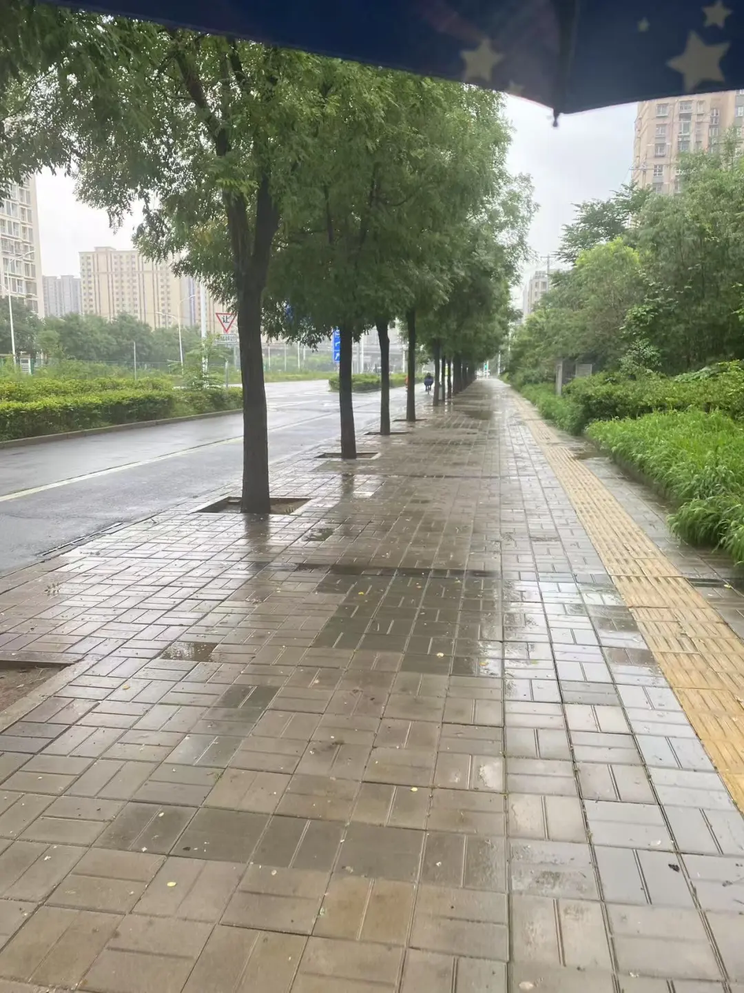 加拿大回流北京,落地三天感受到的七大暴击