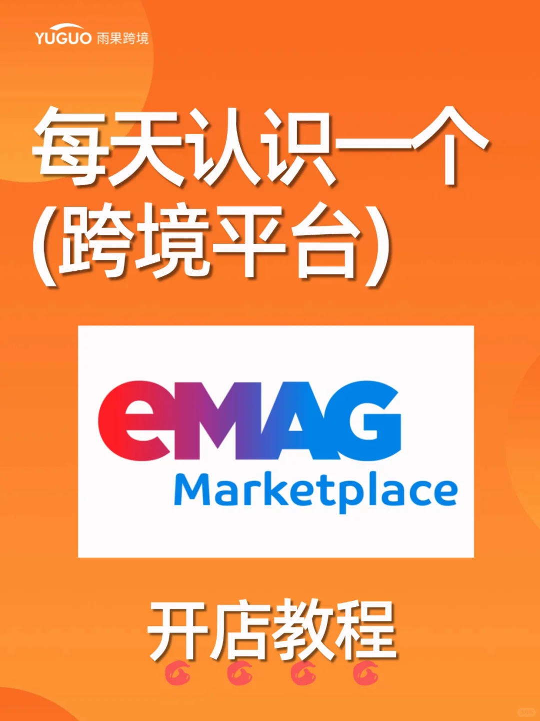每天认识一个跨境平台|不内卷高客单的eMAG