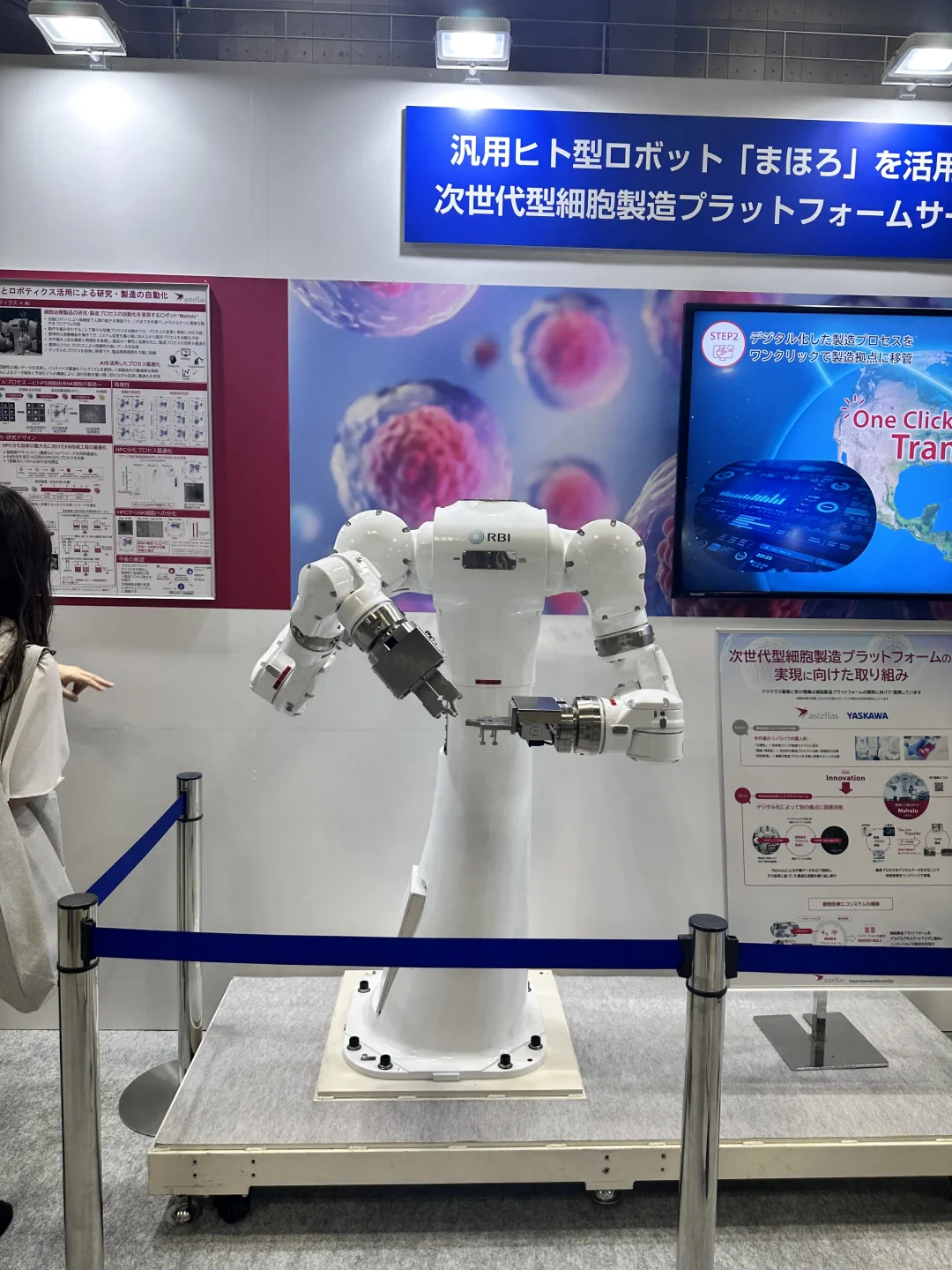 展会翻译丨再生医疗×食品三展×医疗制造合体