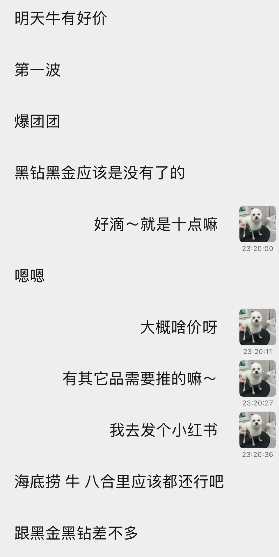 临时通知：明天牛new寿喜烧好价！