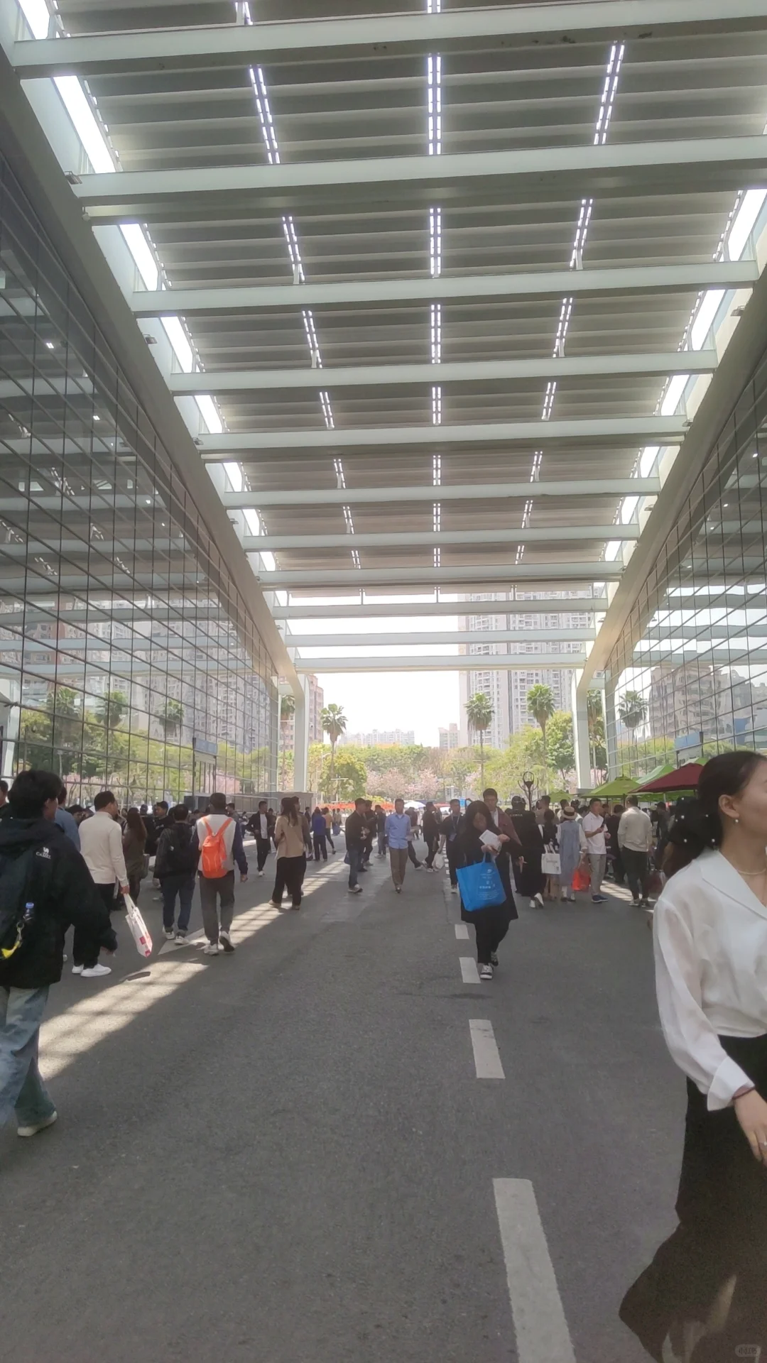 过来深圳看展了