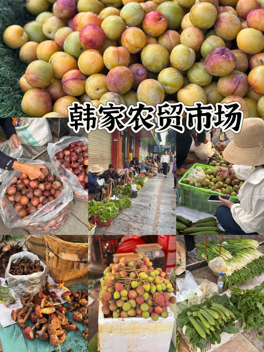 云南建水玩好回来了,我来说两句(下)