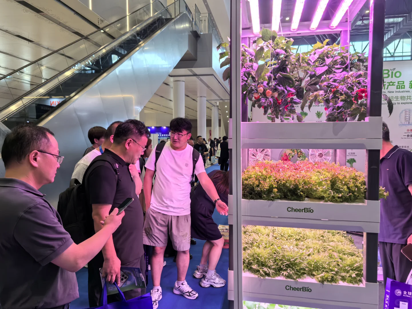? 杭州跨境展爆了！爱培水培种菜机