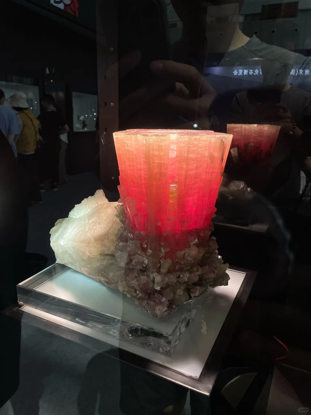 南京矿物宝石化石博览会2025