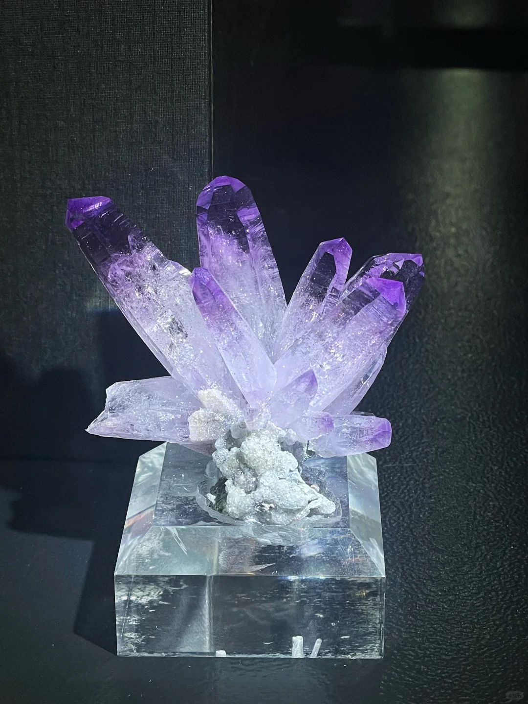 南京矿物宝石化石博览会2025