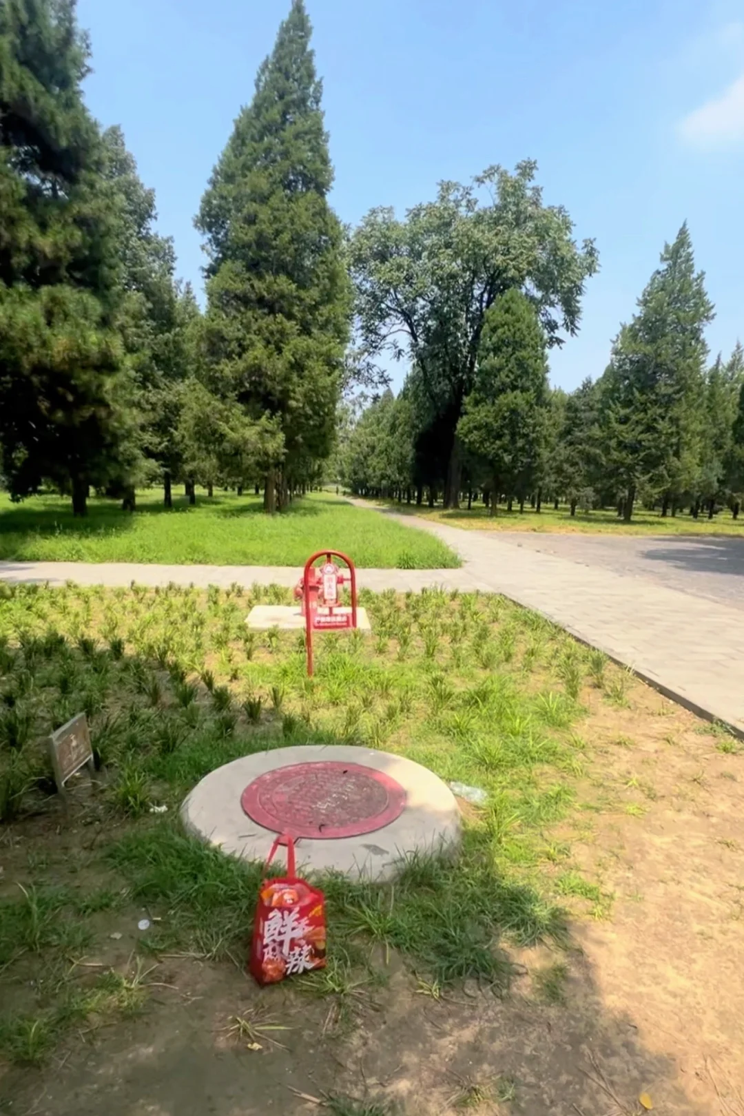 谁懂啊!暑假北京之行,顶着高温找邓爷爷植树
