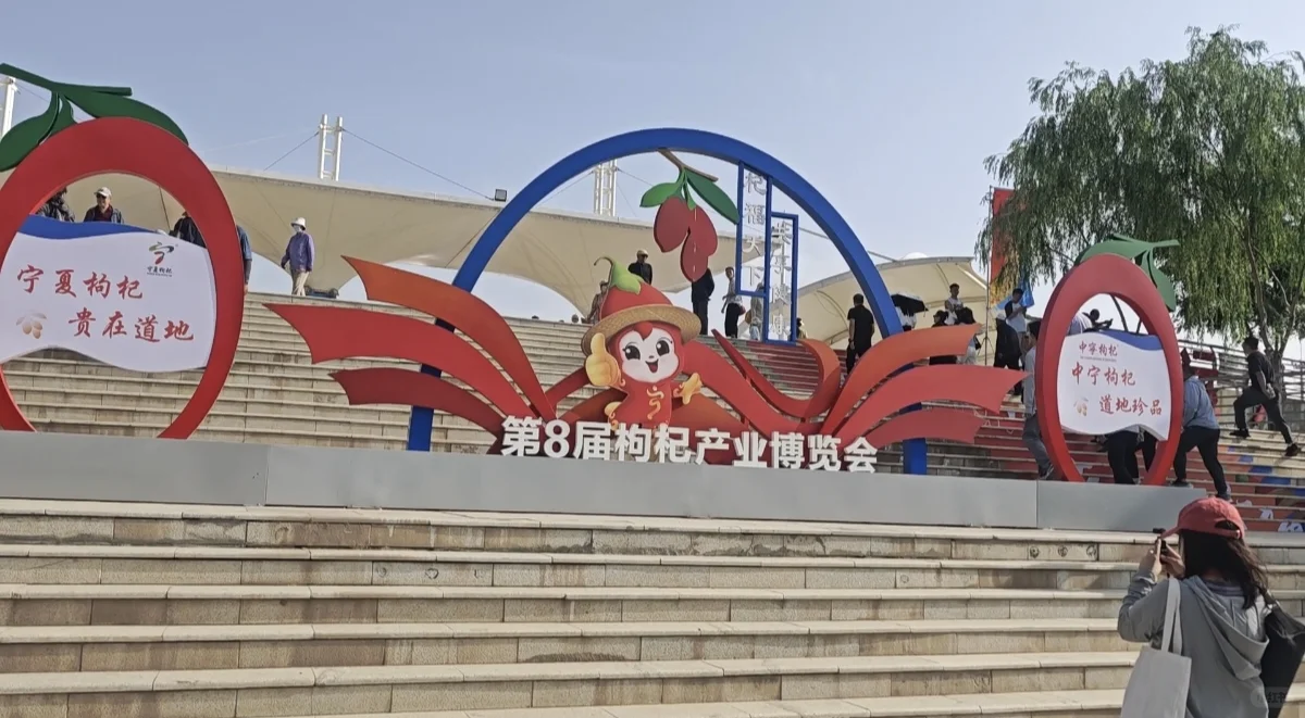 第八届枸杞产业博览会超全亮点来袭✨