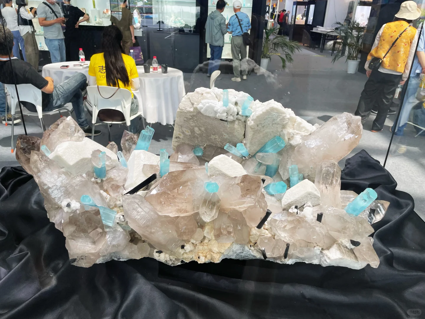 南京矿物宝石化石博览会2025