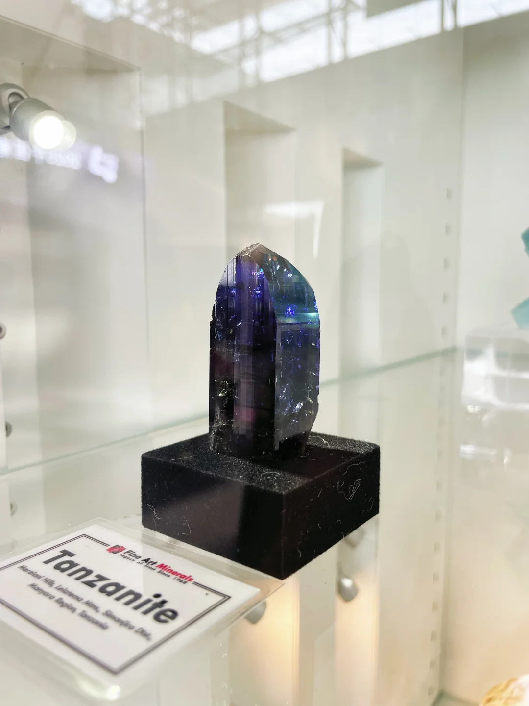 南京矿物宝石化石博览会2025