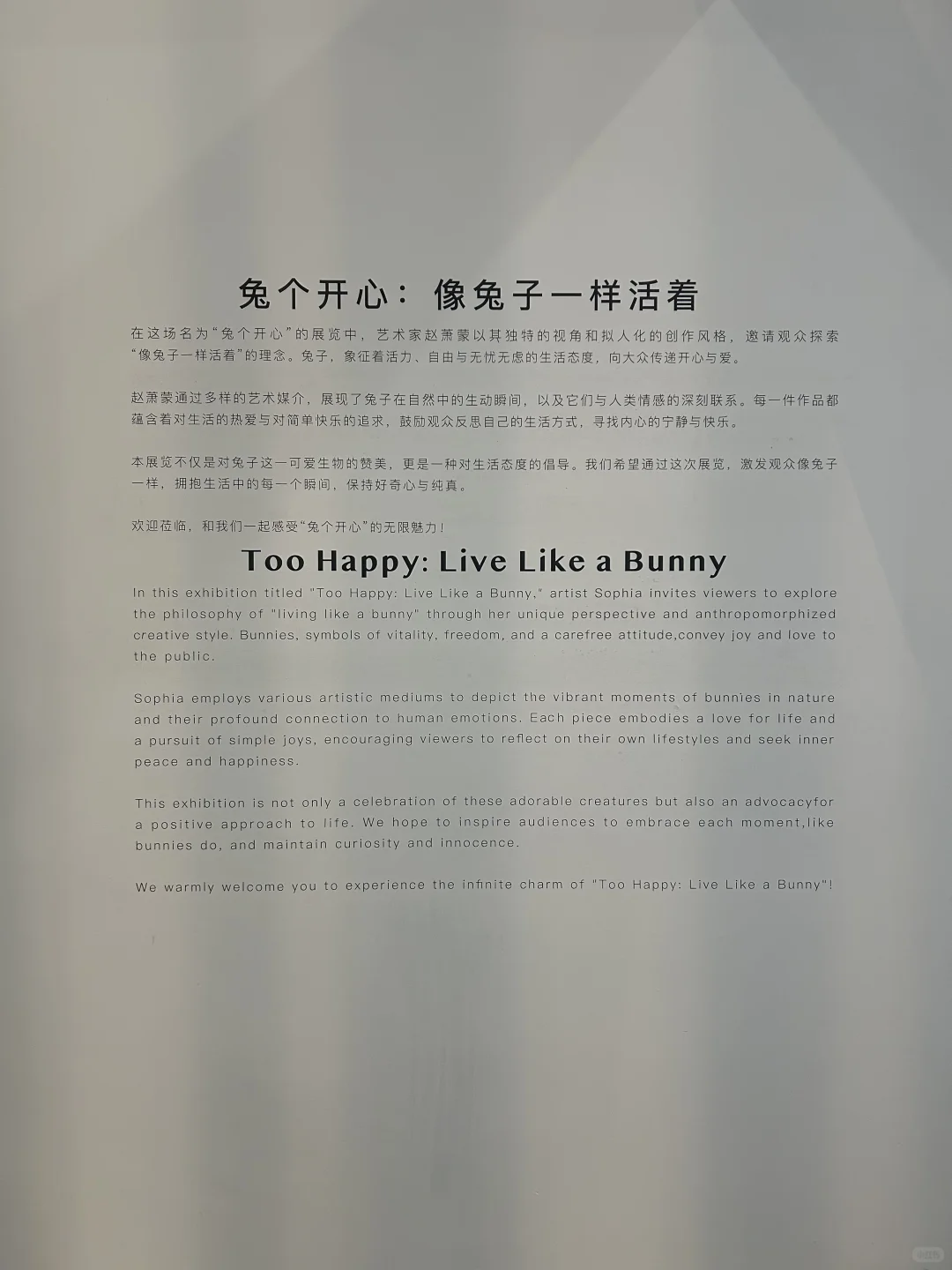 北京免费新展｜?萌兔拯救一切不开心?