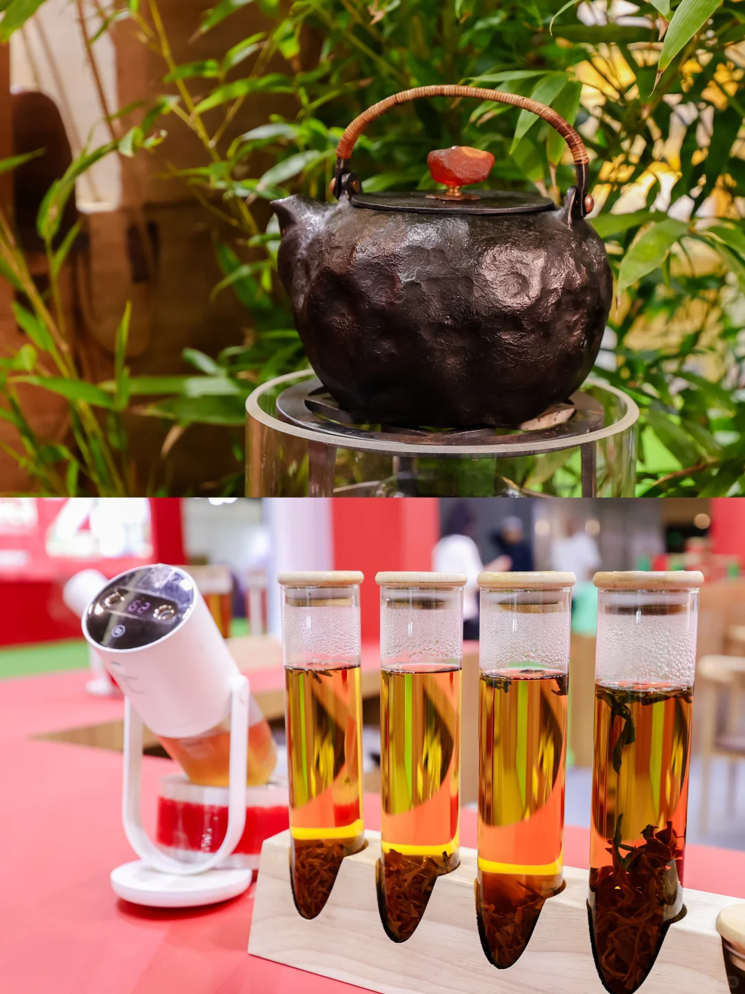 沈阳茶博会 | 赴一场茶香四溢的盛会?