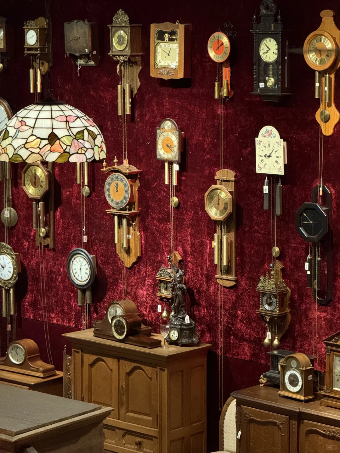 广州新展！！超好看的蝴蝶展！！！！！！??