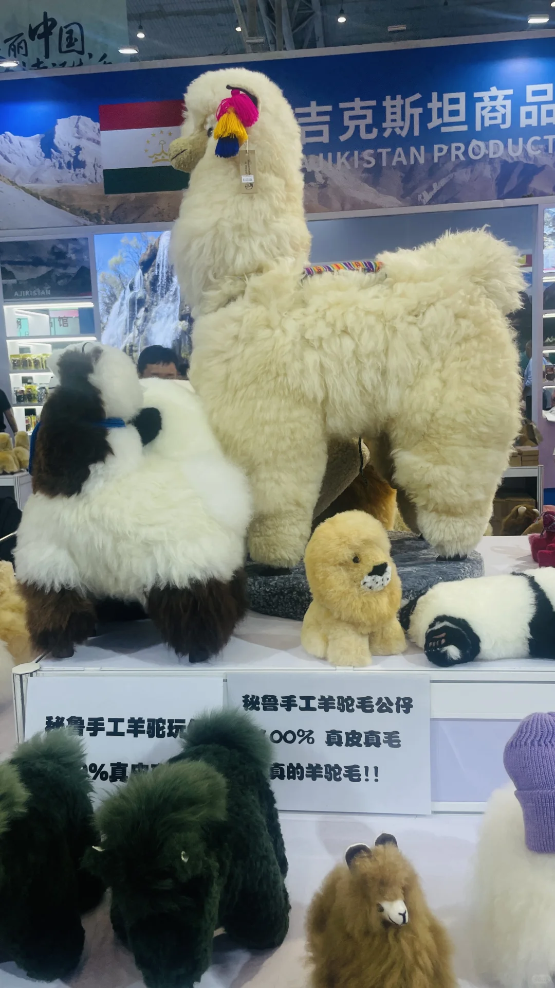 亚欧博览会真的太好逛了