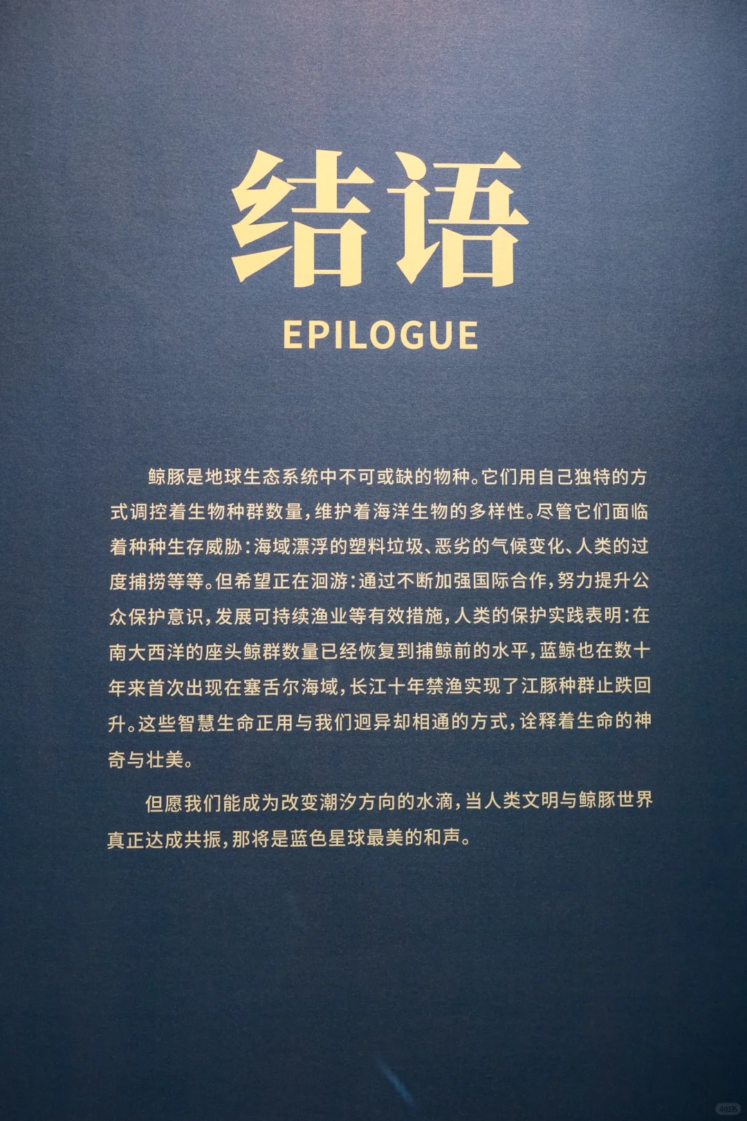 河北博物院童趣展|鲸奇世界