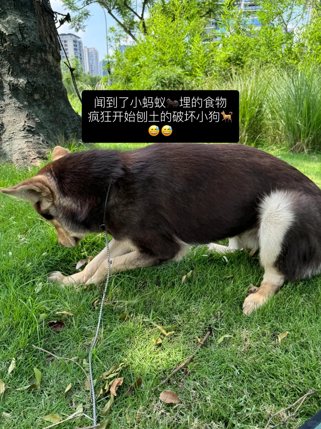在公园,和世界隔绝两小时