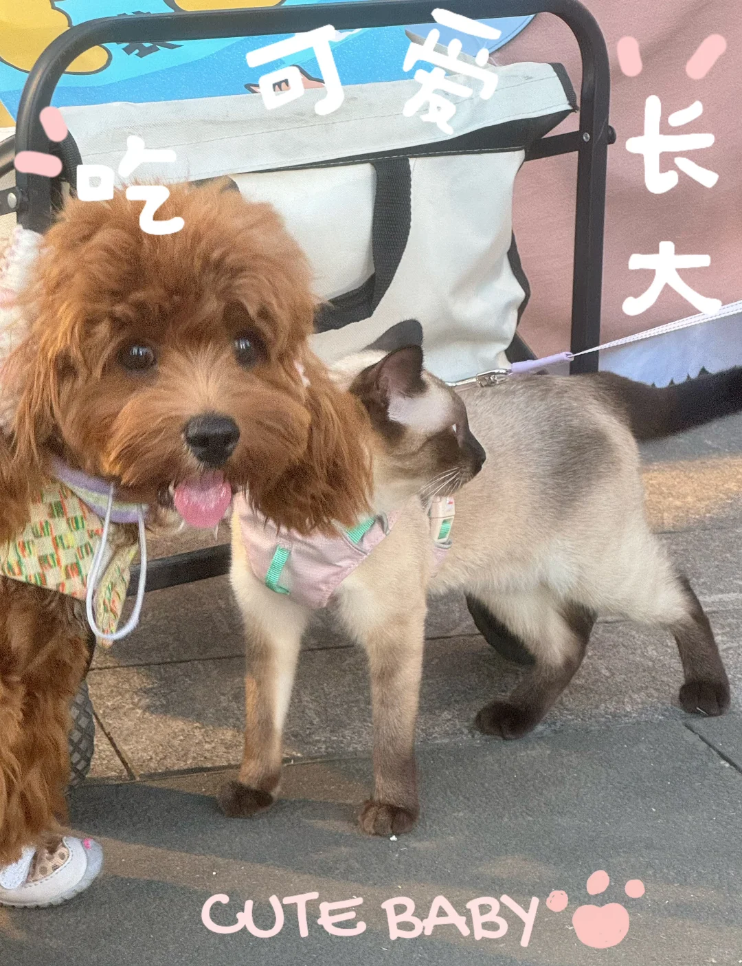 ?【它博集 · 杭州站】展会返图来啦！?
