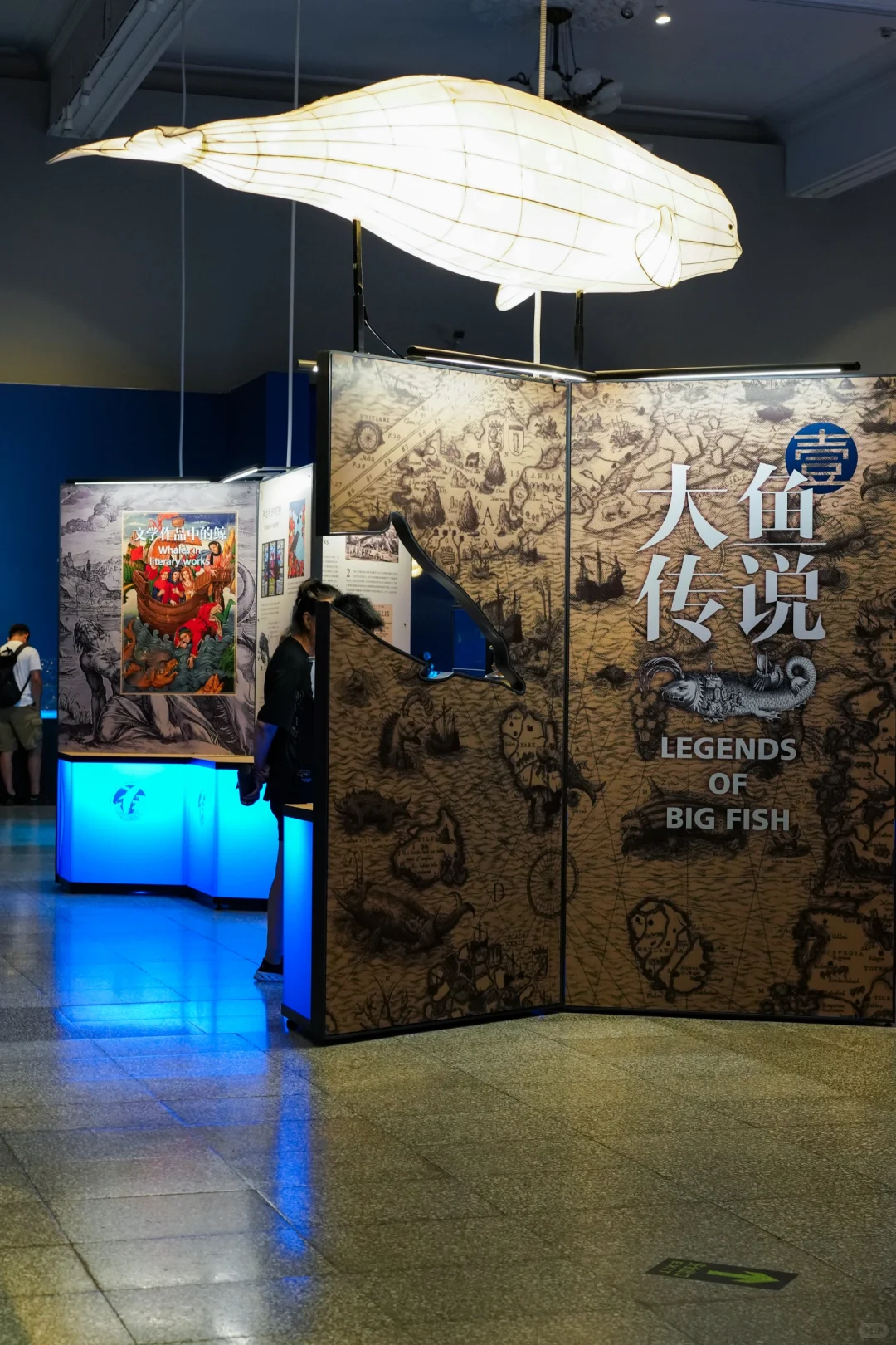 河北博物院童趣展|鲸奇世界