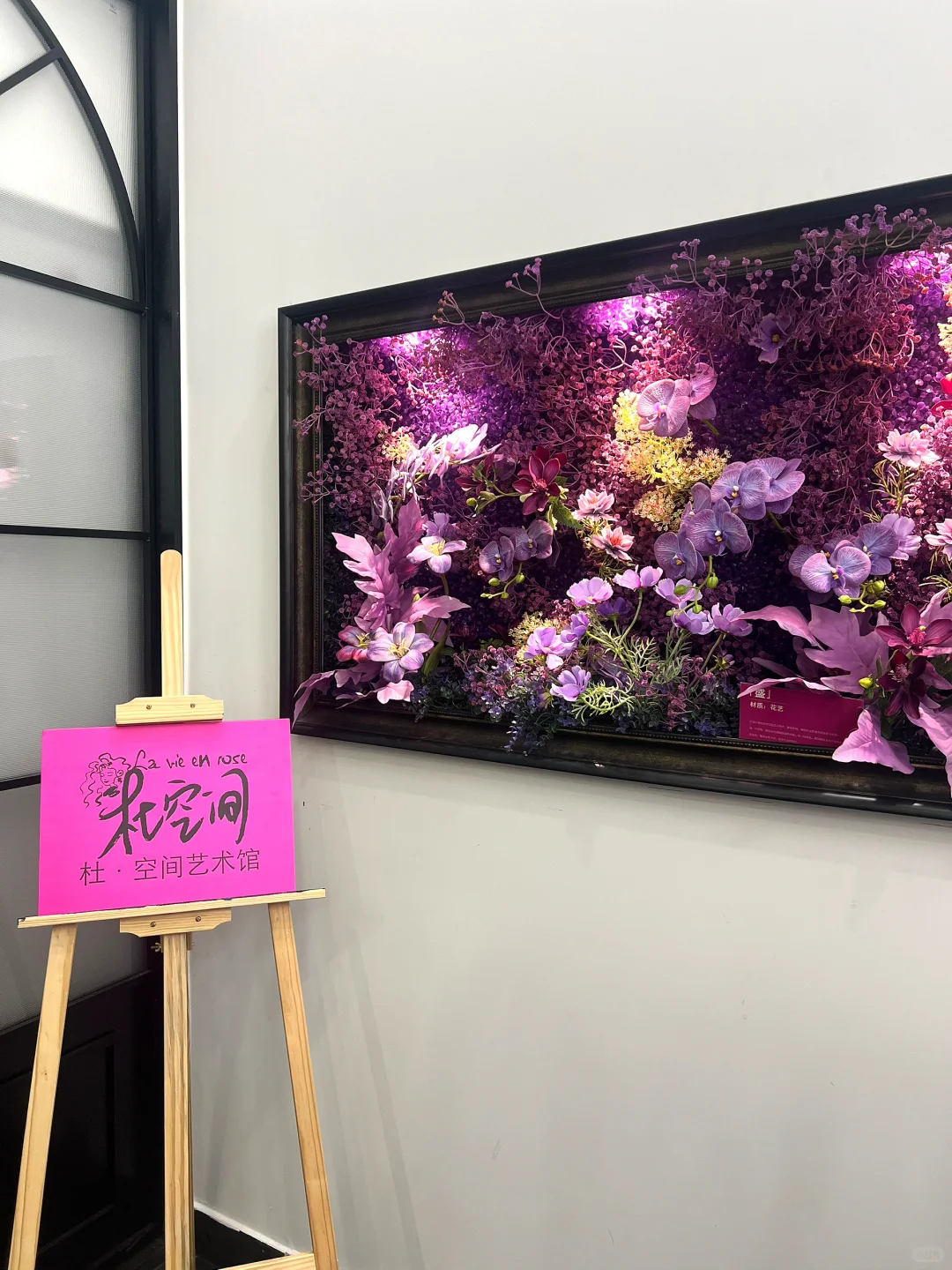 石家庄新晋打卡地❗️ 「杜空间」艺术展绝了❗️