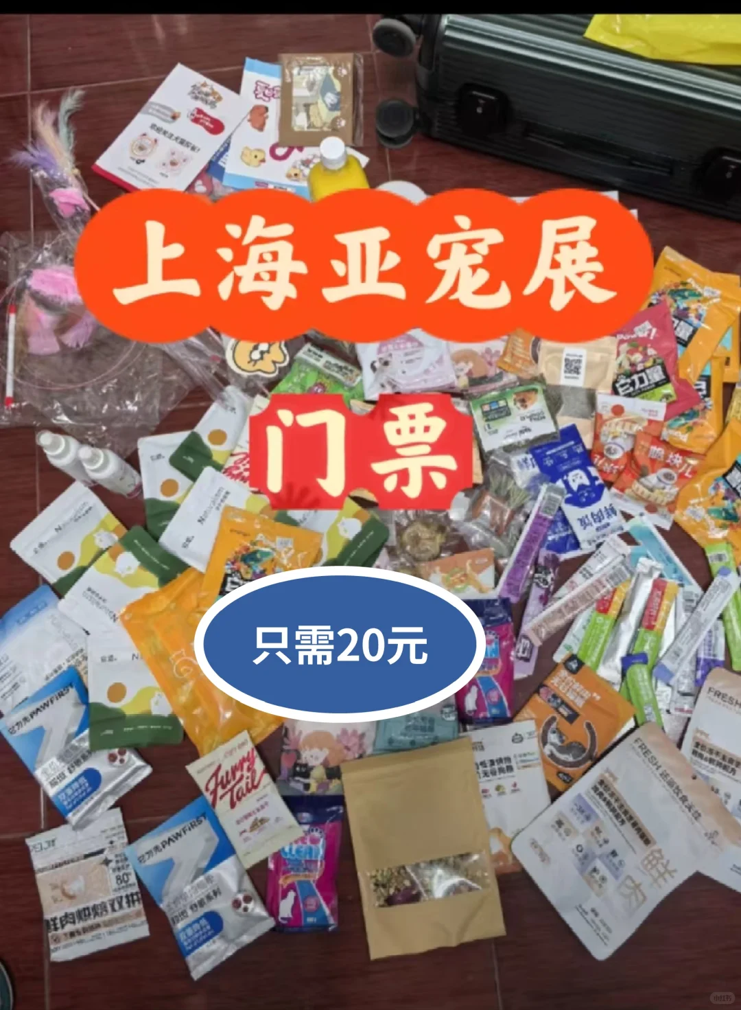 上海宠物人的年度盛会，门票特惠20元一张