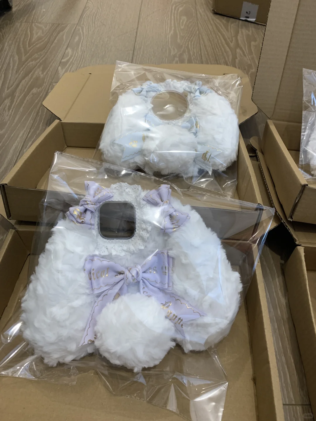 在这种萌物面前我没有一点抵抗力