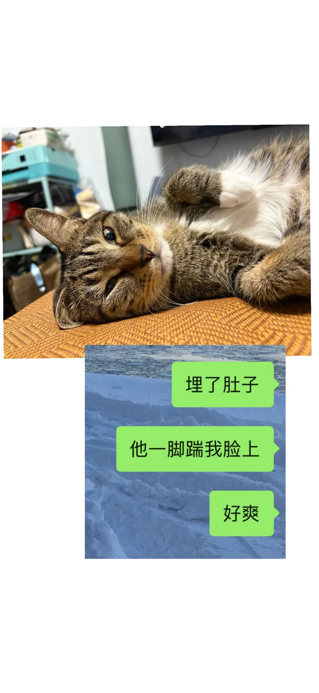 可我完全无法抵抗