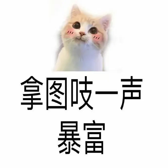 她的生命力像风一样自由✨