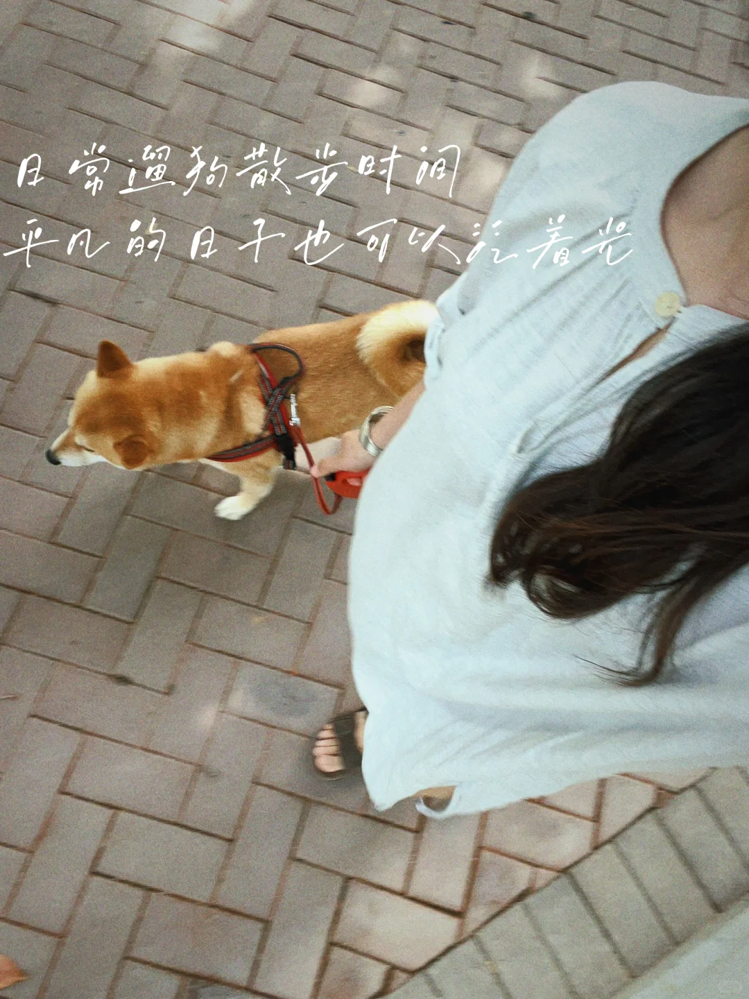 40+|沉浸在日常生活里,满心欢喜?