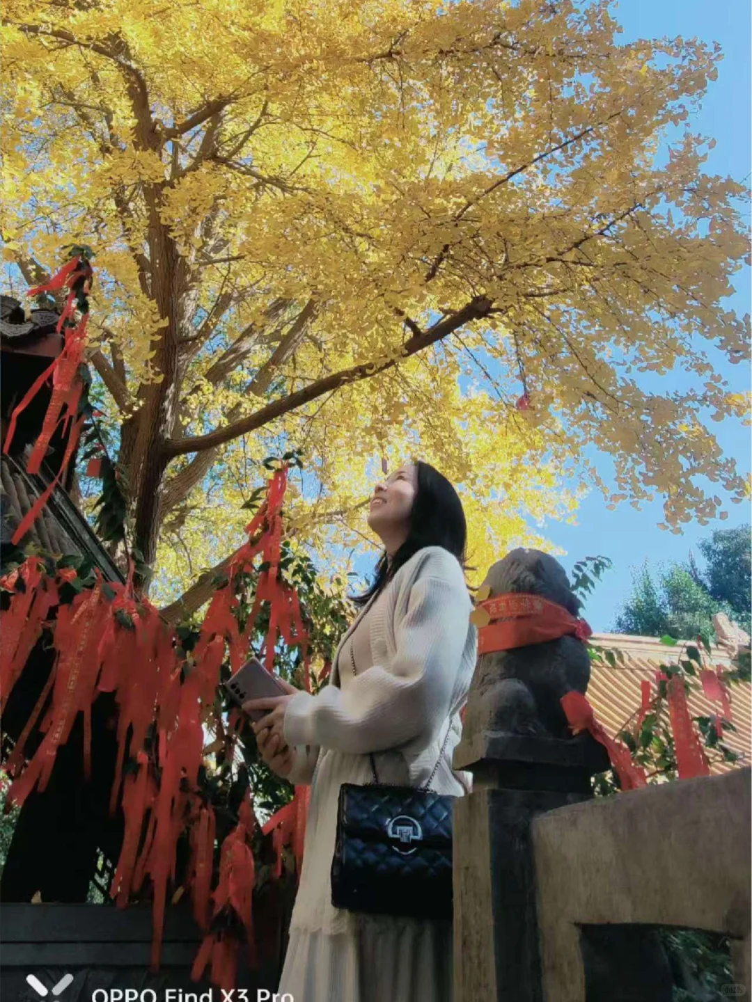 自我一下