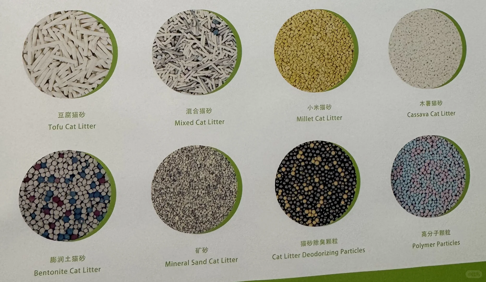 ✨外贸优品江苏站|展会上的猫砂鉴赏