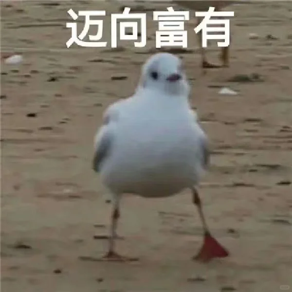 为什么企业要参与展览会?揭秘来啦!