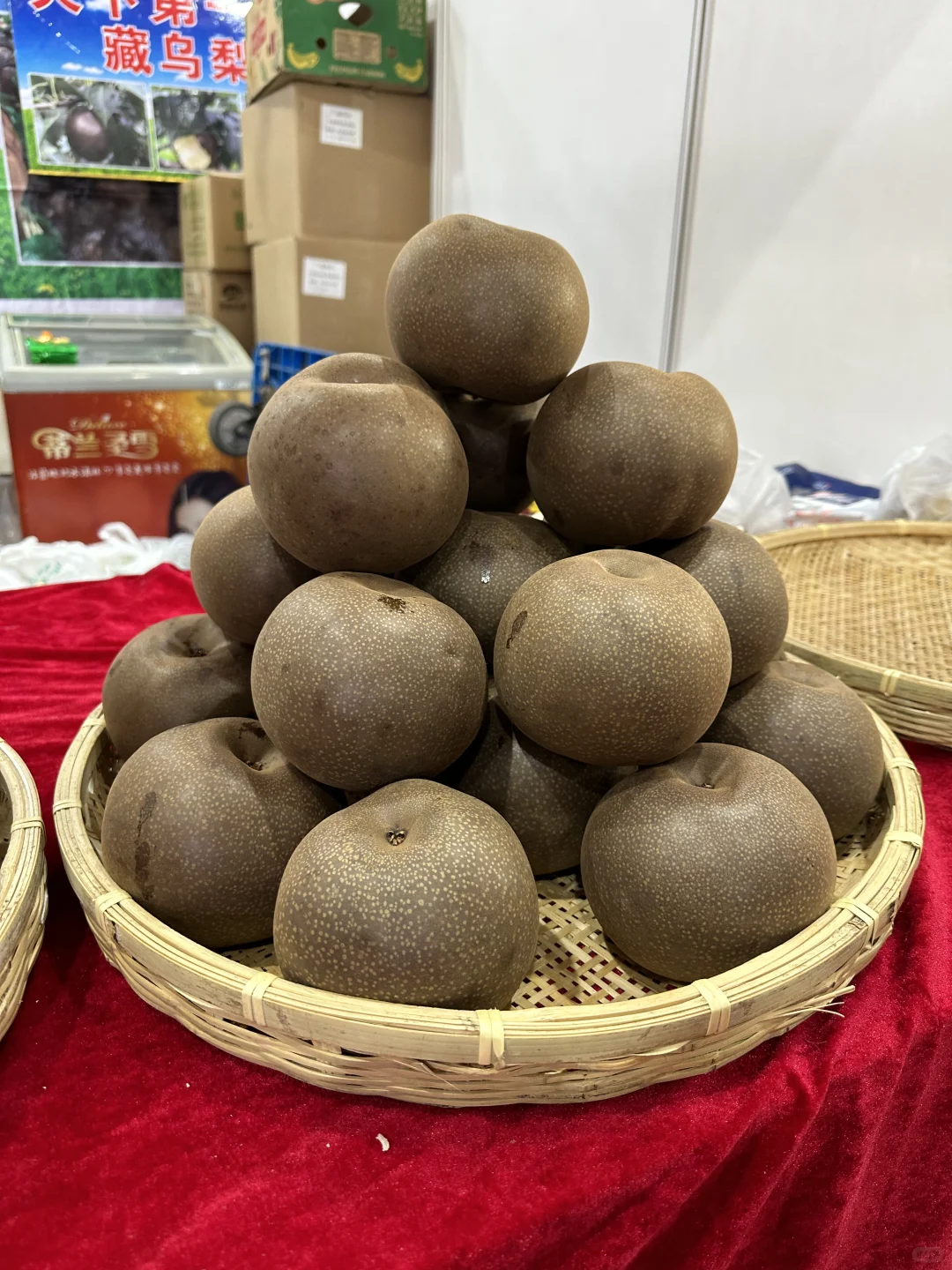 首钢园中外食品交易会