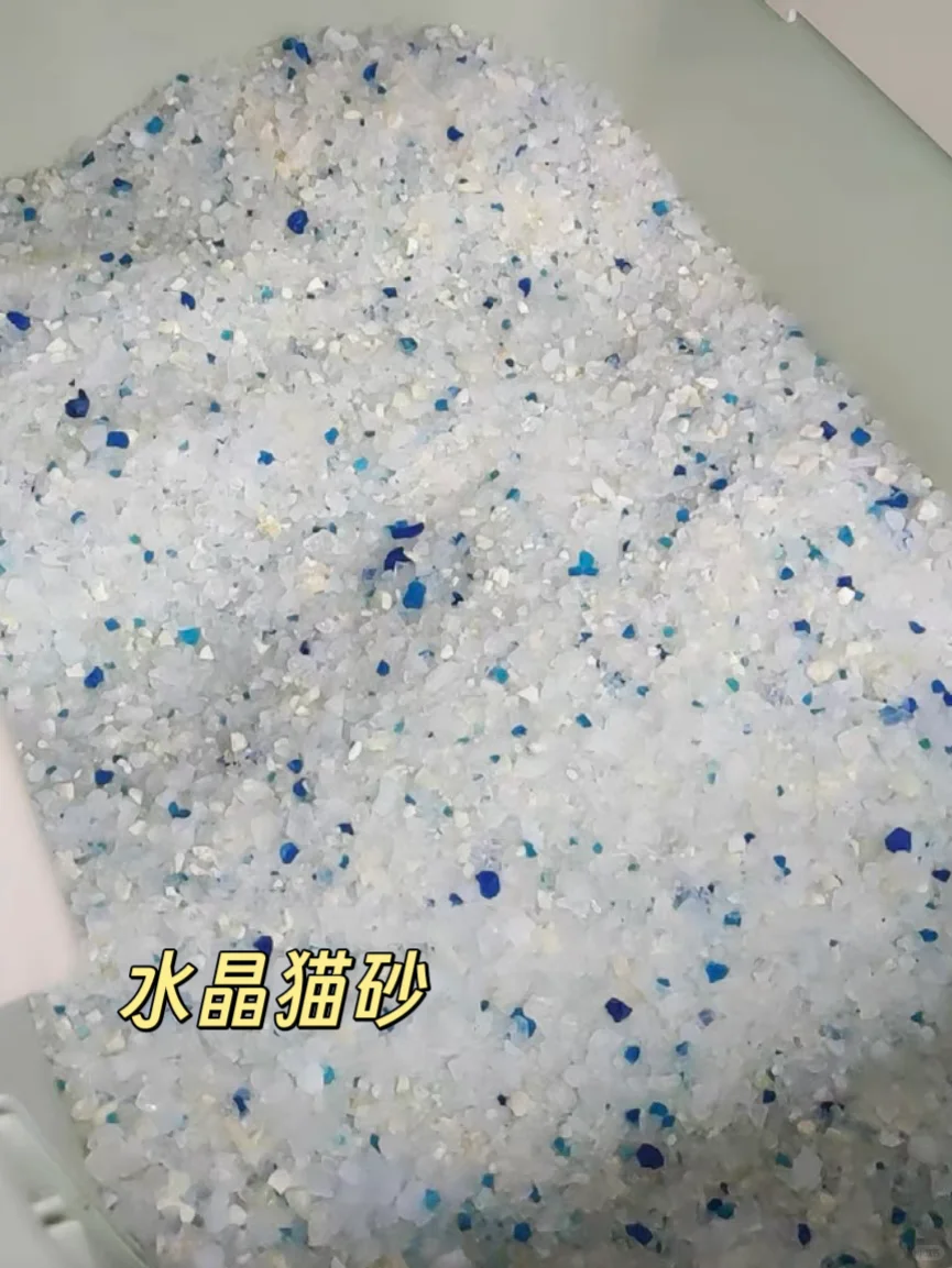 ✨外贸优品江苏站|展会上的猫砂鉴赏