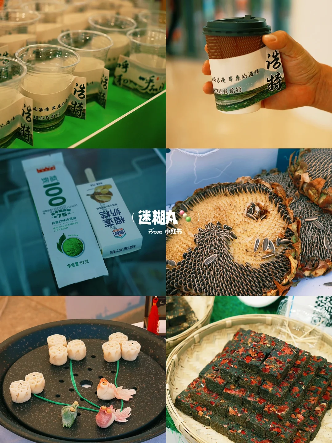 呼和浩特|快码住?中蒙博览会也太好逛了吧!