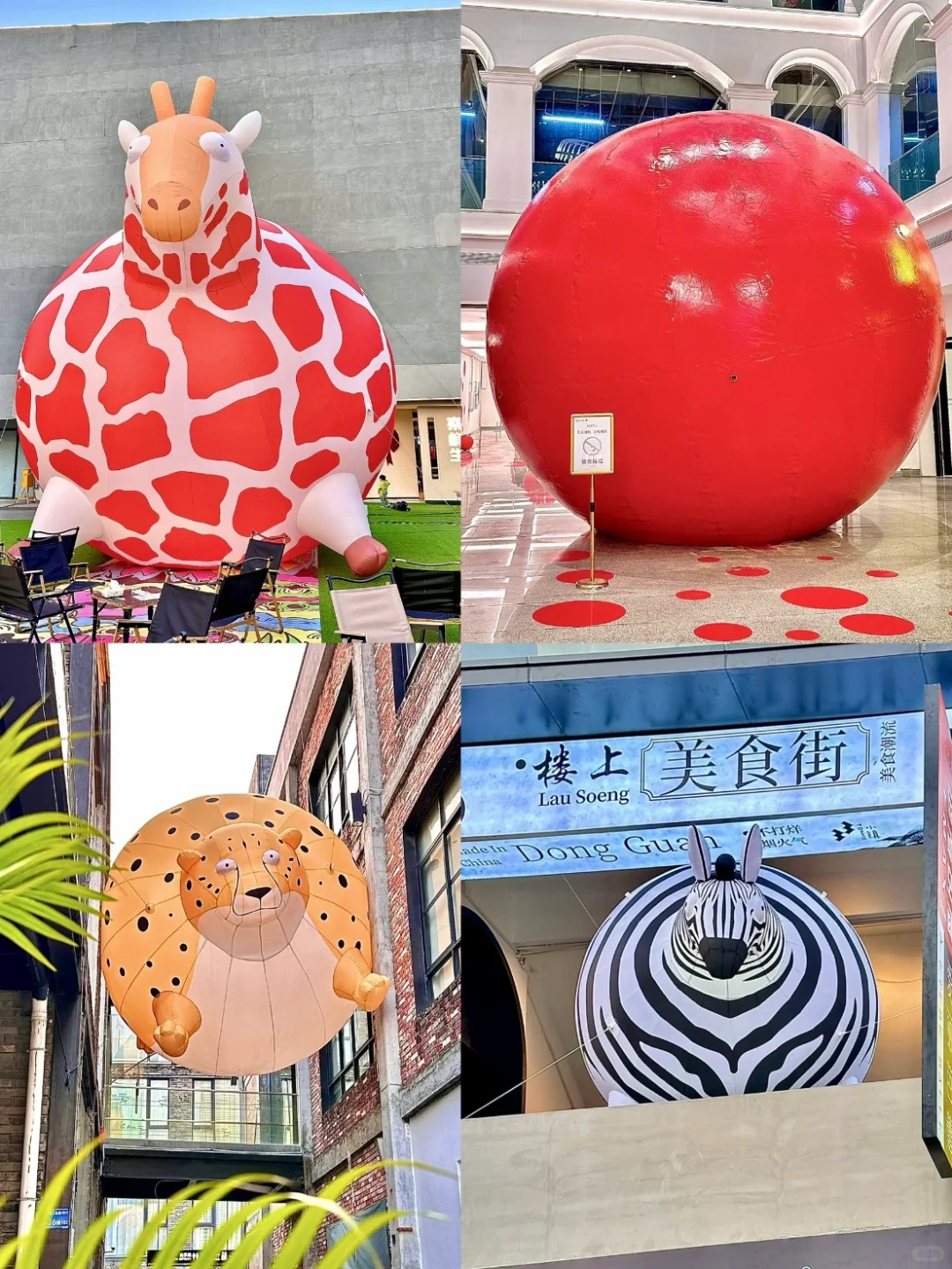 “椒”个朋友?，你最想听哪个蔬菜说话？