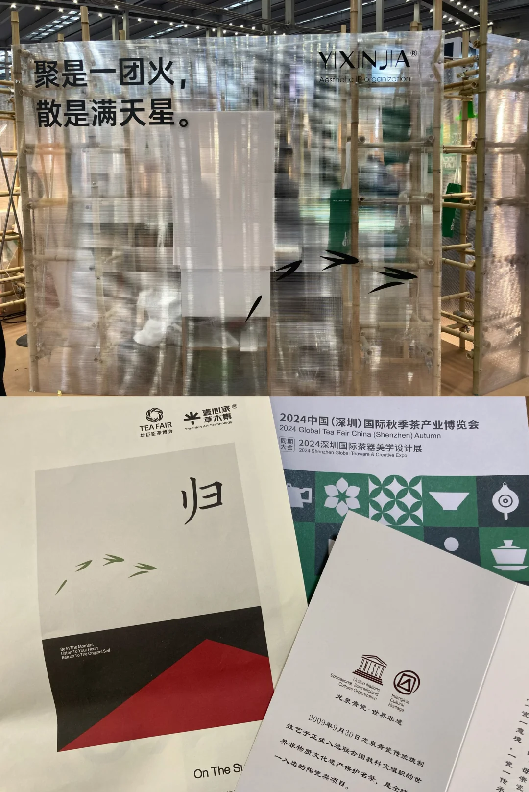 那些年逛过的茶博会·2024(秋)