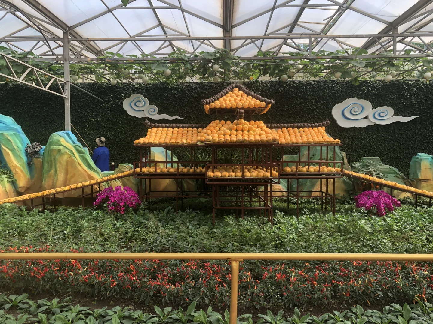 寿光菜博会（一）