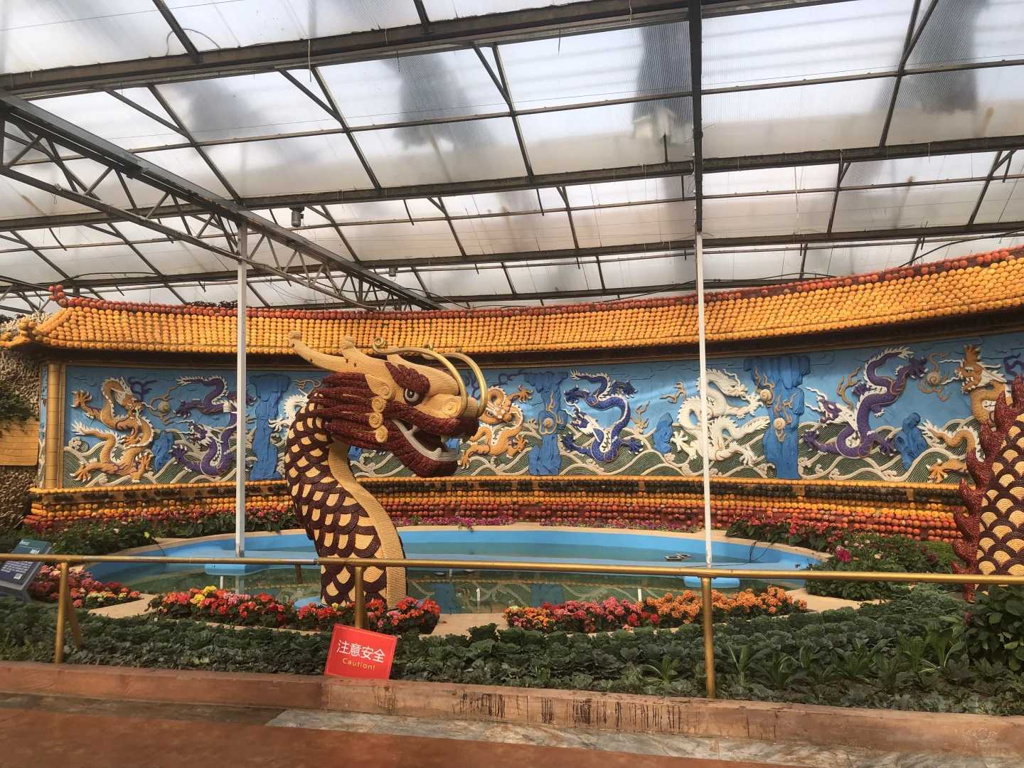 寿光菜博会（一）