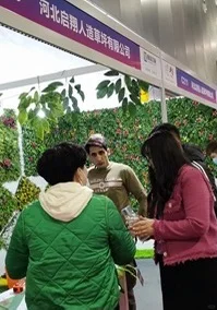 快来!会展雅昌.2025第22届花卉会展